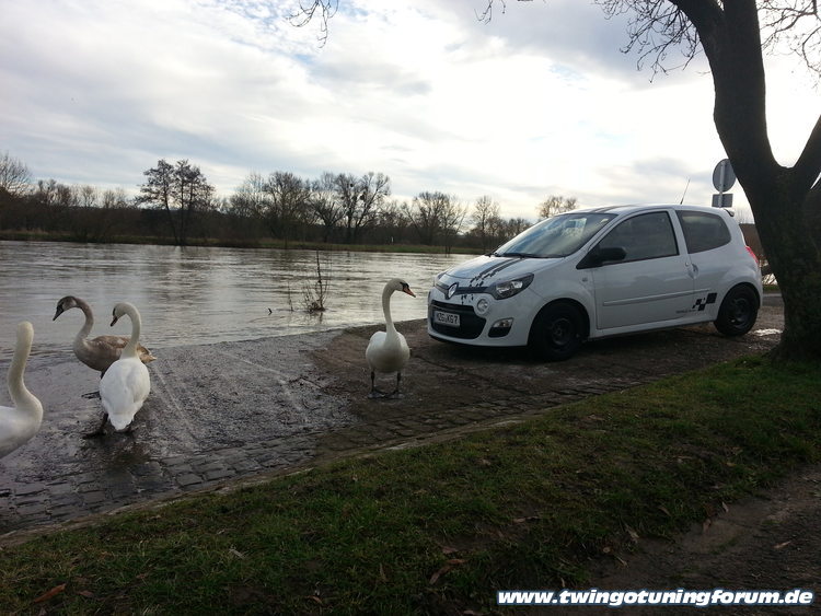 [Bild: twingo-09013430-YN1.jpg]