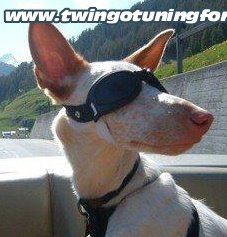 [Bild: twingo-13115834-mGl.jpg]