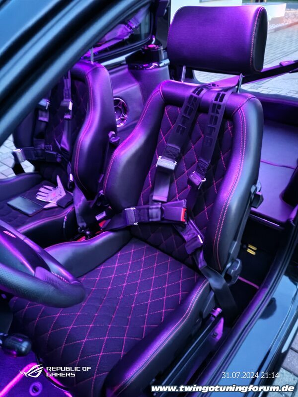 [Bild: twingo-07162410-Wyb.jpg]