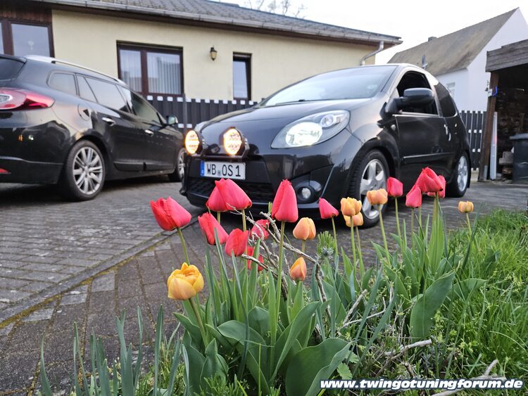 [Bild: twingo-22100337-65C.jpg]