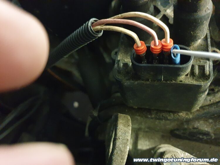 [Bild: twingo-13194906-Cbd.jpg]