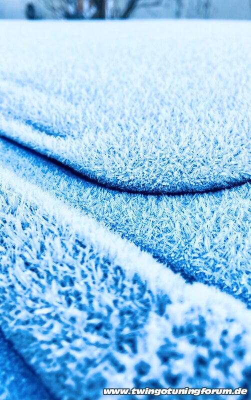 [Bild: twingo-31185641-xbh.jpg]