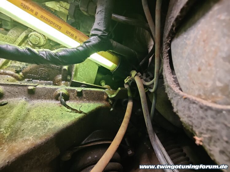 [Bild: twingo-08195202-Kkf.jpg]