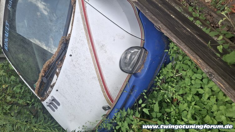 [Bild: twingo-17162331-27r.jpg]
